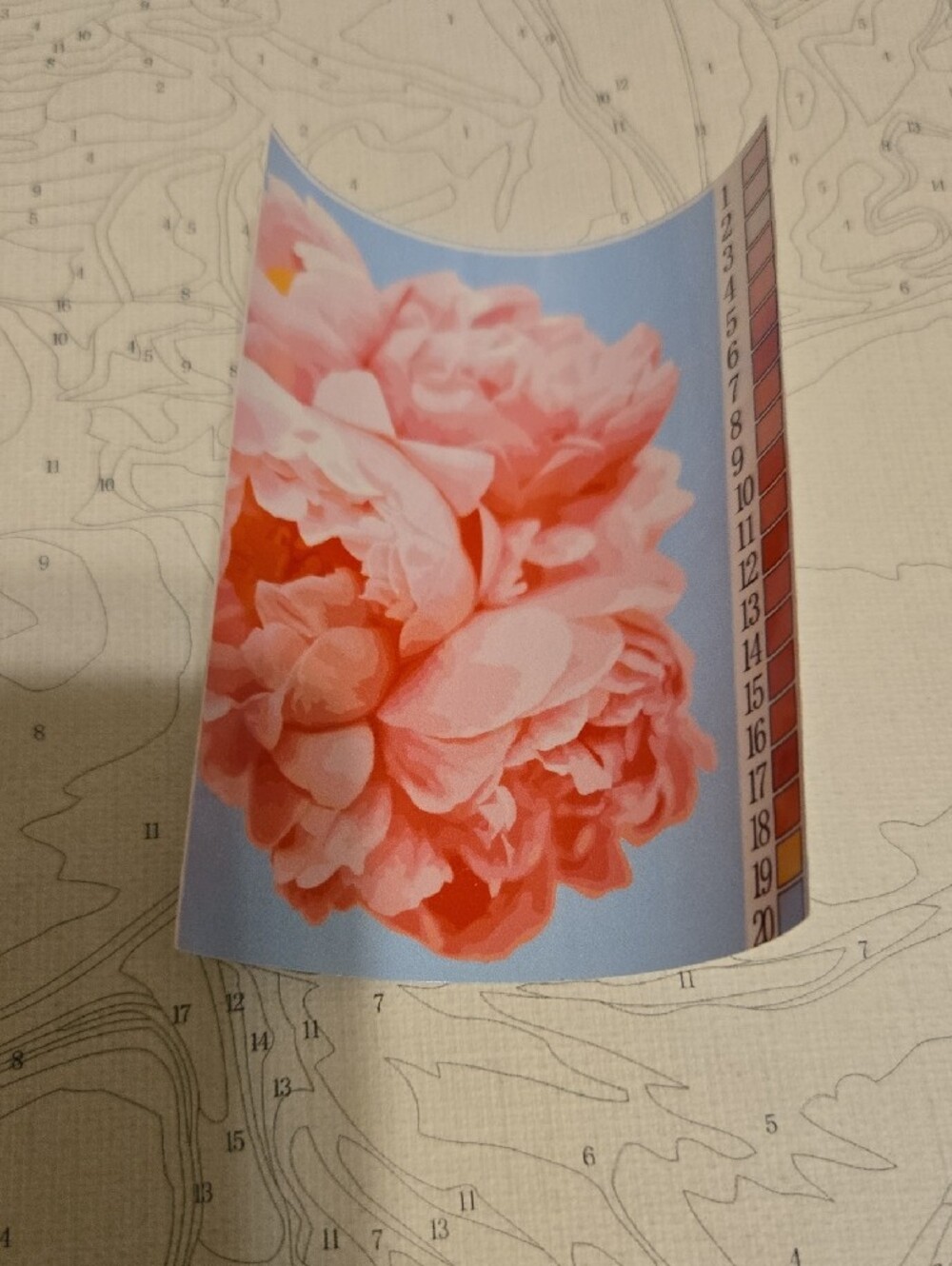 Pink Paint-By-Numbers Kit by - Picture 3 of 5